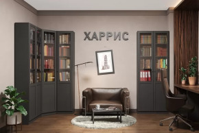 Библиотека Харрис в Тарко-Сале - tarko-sale.mebel-tymen.ru | фото