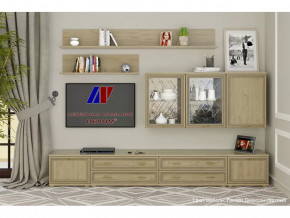 Гостиная Карина набор 10 в Тарко-Сале - tarko-sale.mebel-tymen.ru | фото