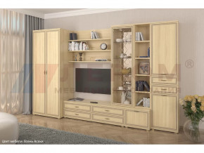 Гостиная Карина набор 11 в Тарко-Сале - tarko-sale.mebel-tymen.ru | фото