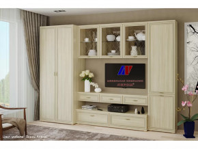 Гостиная Карина набор 23 в Тарко-Сале - tarko-sale.mebel-tymen.ru | фото