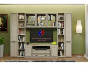 Гостиная Карина набор 25 в Тарко-Сале - tarko-sale.mebel-tymen.ru | фото