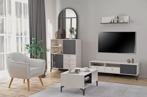 Гостиная Лион №2 Ясень анкор светлый/Графит Диал в Тарко-Сале - tarko-sale.mebel-tymen.ru | фото