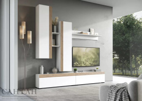 Гостиная НАО-Моно №1 в Тарко-Сале - tarko-sale.mebel-tymen.ru | фото