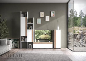 Гостиная НАО-Моно №3 в Тарко-Сале - tarko-sale.mebel-tymen.ru | фото