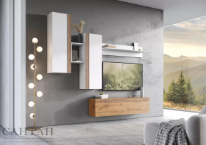 Гостиная НАО-Моно №5 в Тарко-Сале - tarko-sale.mebel-tymen.ru | фото