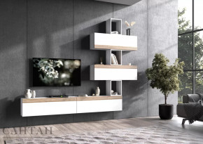 Гостиная НАО-Моно №6 в Тарко-Сале - tarko-sale.mebel-tymen.ru | фото