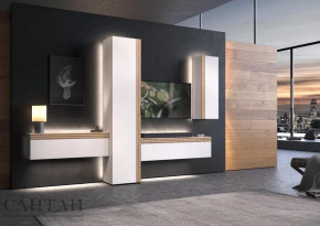 Гостиная НАО-Моно №7 в Тарко-Сале - tarko-sale.mebel-tymen.ru | фото