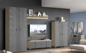 Гостиная Шер Композиция №13 в Тарко-Сале - tarko-sale.mebel-tymen.ru | фото