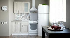 Кухонный гарнитур Лира мини 1000 мм в Тарко-Сале - tarko-sale.mebel-tymen.ru | фото