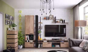 Модульная гостиная Nature в Тарко-Сале - tarko-sale.mebel-tymen.ru | фото