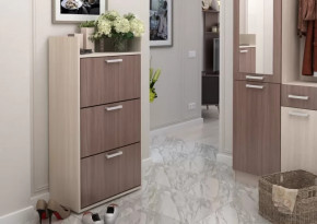 Обувница №2 Дели в Тарко-Сале - tarko-sale.mebel-tymen.ru | фото