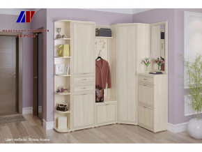 Прихожая Карина набор 5 в Тарко-Сале - tarko-sale.mebel-tymen.ru | фото