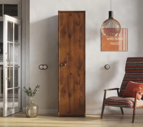 Шкаф JREG 1d Дуб саттер ИНДИАНА в Тарко-Сале - tarko-sale.mebel-tymen.ru | фото