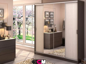 Шкаф-купе Альянс 2000 в Тарко-Сале - tarko-sale.mebel-tymen.ru | фото