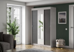 Шкаф-купе Бассо в Тарко-Сале - tarko-sale.mebel-tymen.ru | фото