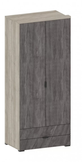 Шкаф Шаде ШК-2905 в Тарко-Сале - tarko-sale.mebel-tymen.ru | фото