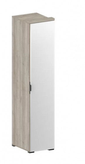 Шкаф Шаде ШК-2912 в Тарко-Сале - tarko-sale.mebel-tymen.ru | фото