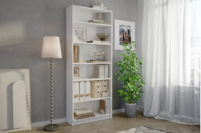 Стеллаж Бильд в Тарко-Сале - tarko-sale.mebel-tymen.ru | фото