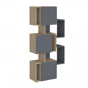 Стеллаж Дублин в Тарко-Сале - tarko-sale.mebel-tymen.ru | фото