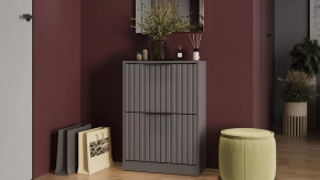 Тумба для обуви «Хилтон» Исп.2 Серый графит, Графит матовый в Тарко-Сале - tarko-sale.mebel-tymen.ru | фото