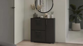 Тумба для обуви Тип 15 Антрацит в Тарко-Сале - tarko-sale.mebel-tymen.ru | фото